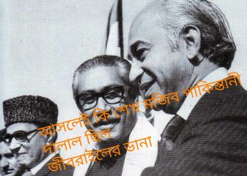 মুরগী থিওরি