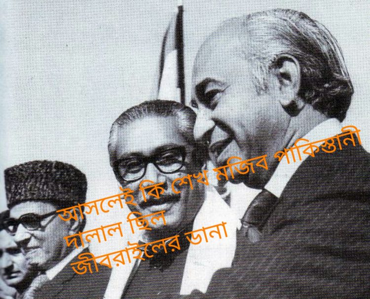 মুরগী থিওরি