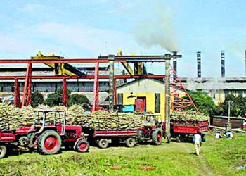 আবারও বন্ধ হচ্ছে চিনিকল !