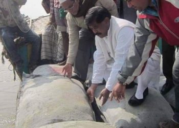 সাড়ে আট কিলোমিটার ব্লক বাঁধে বাংলাদেশের মানচিত্রে টিকে থাকবে সাগর কন্যা হাতিয়া!