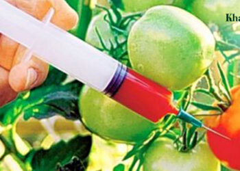 ভেজাল খাদ্য খেয়ে হুমকির মুখে মানুষ। কি করছে সরকার?